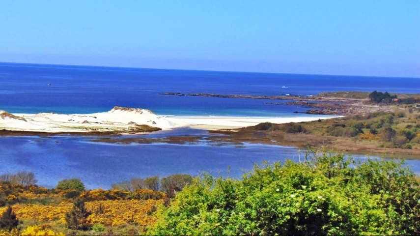 A panoramic view of a serene coastal landscape is displayed, featuring a blend of golden sandy beaches and tranquil blue waters. The greenery in the foreground contrasts with the vibrant hues of the ocean and sky, creating a harmonious natural setting.