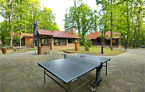 Amazing home in Gustelnica with sauna