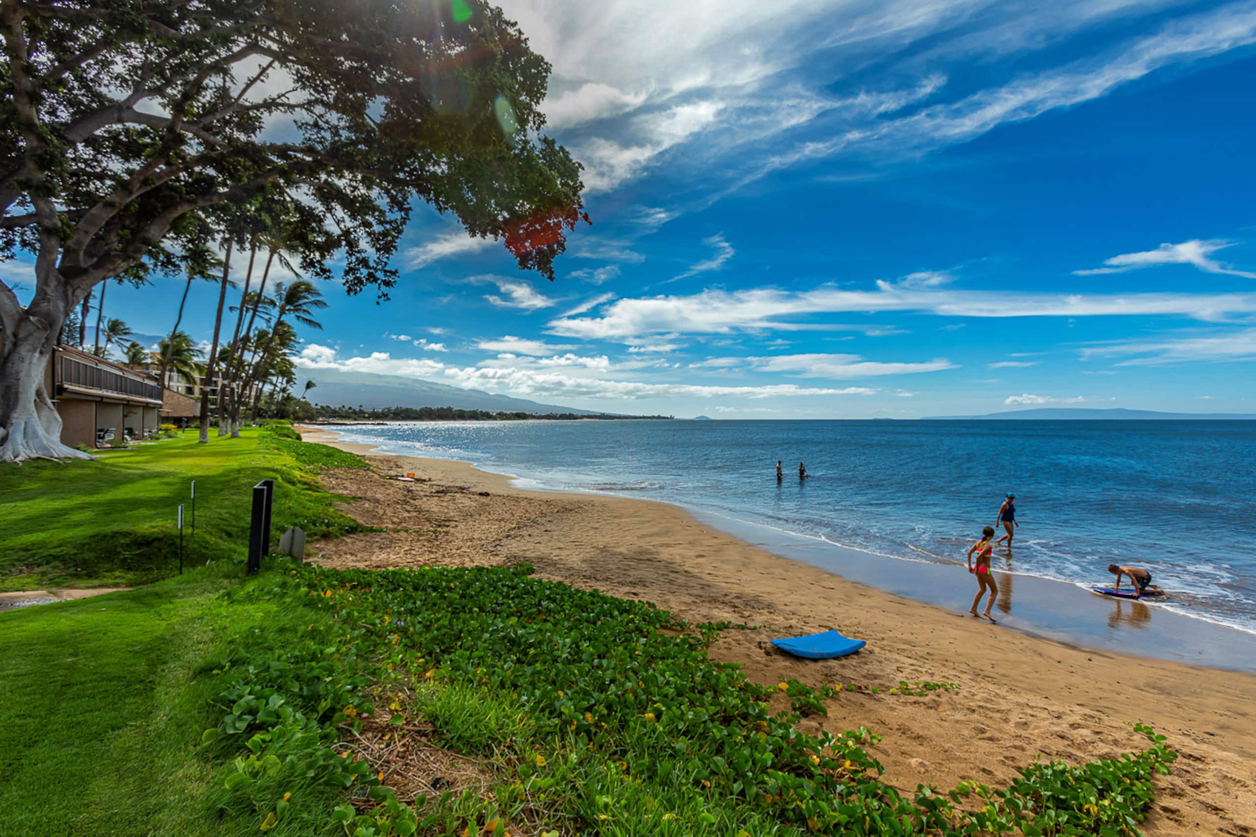 Condo in Kihei · ★4.6 · 2 bedrooms · 2 beds · 2 shared baths - Image 55