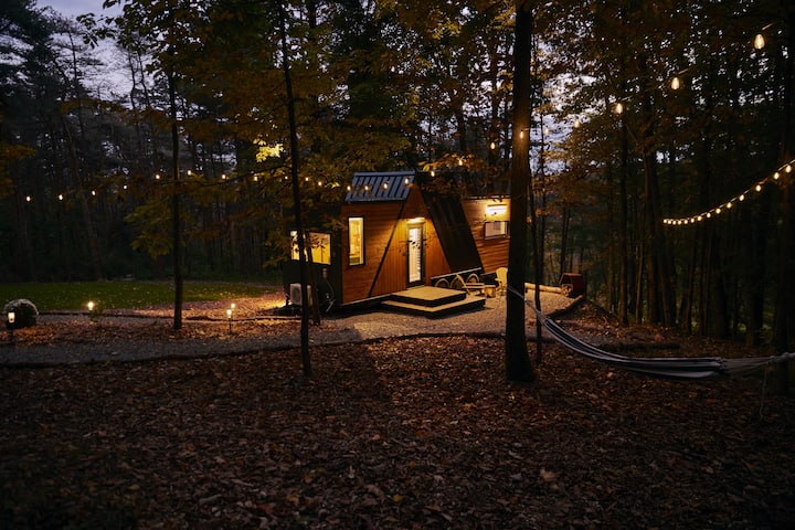 Hướng nhìn về đêm