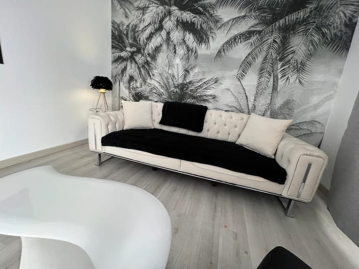 Le Cannois, Appartement De Star 3 Chambres - Mulhouse