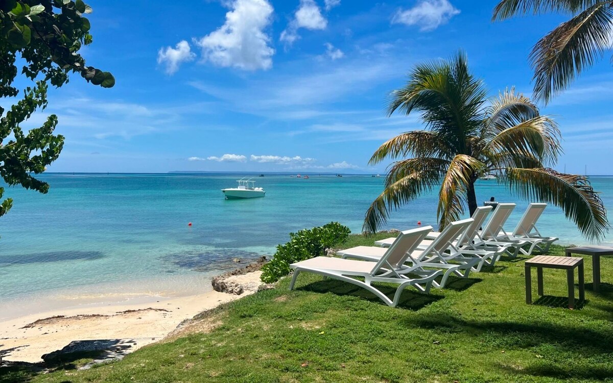 A peaceful beachfront area is depicted, featuring several white lounge chairs positioned on green grass. The calm turquoise water and a small boat are visible in the distance, surrounded by a clear blue sky and scattered clouds.