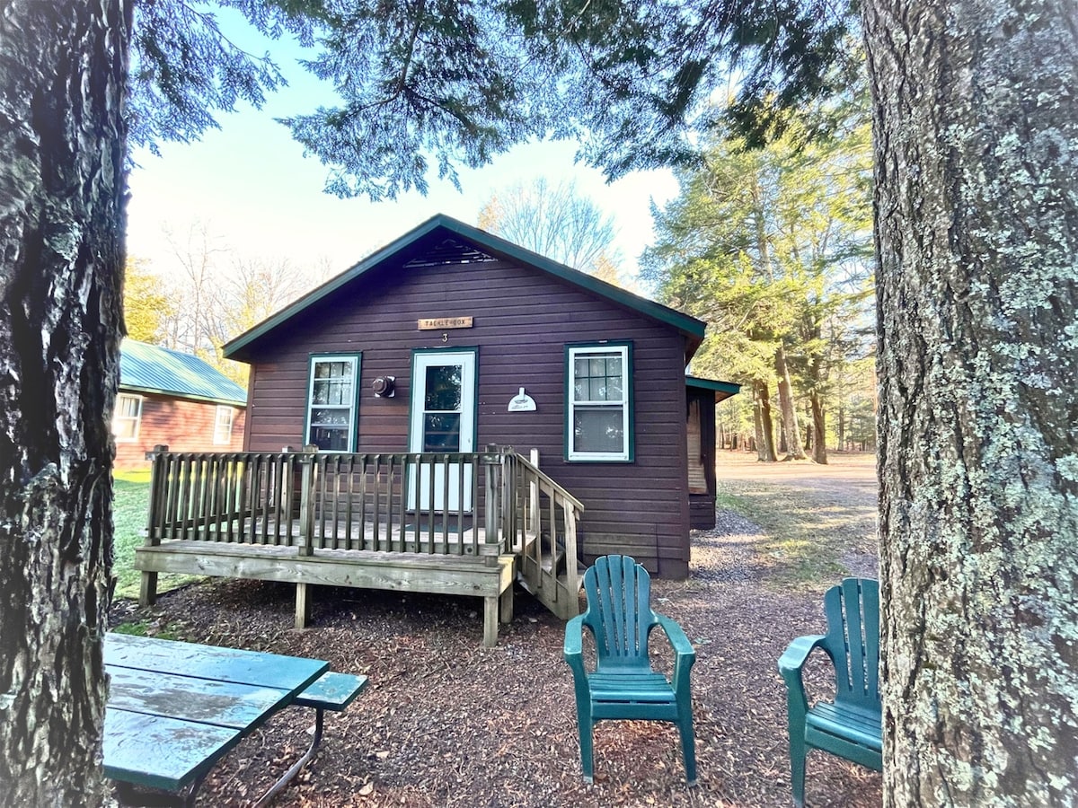 A rustic cabin is framed by tall trees, featuring a wooden deck with steps leading up to a welcoming entrance. Two green Adirondack chairs are positioned in front of the cabin, complemented by a picnic table nearby.