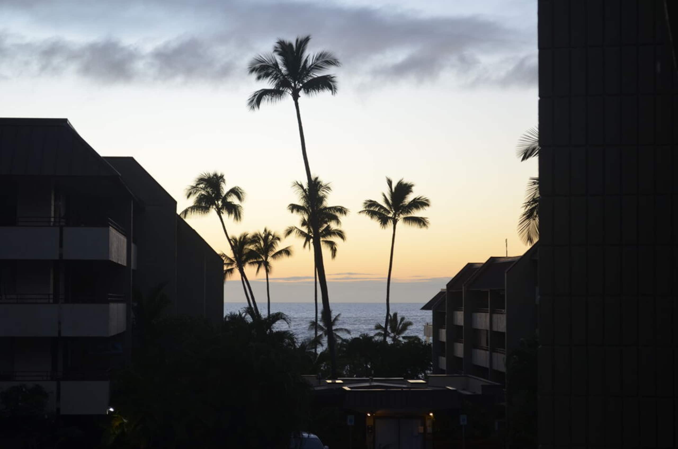 Condo in Kailua-Kona · ★5.0 · 2 bedrooms · 4 beds · 2 baths - Image 28