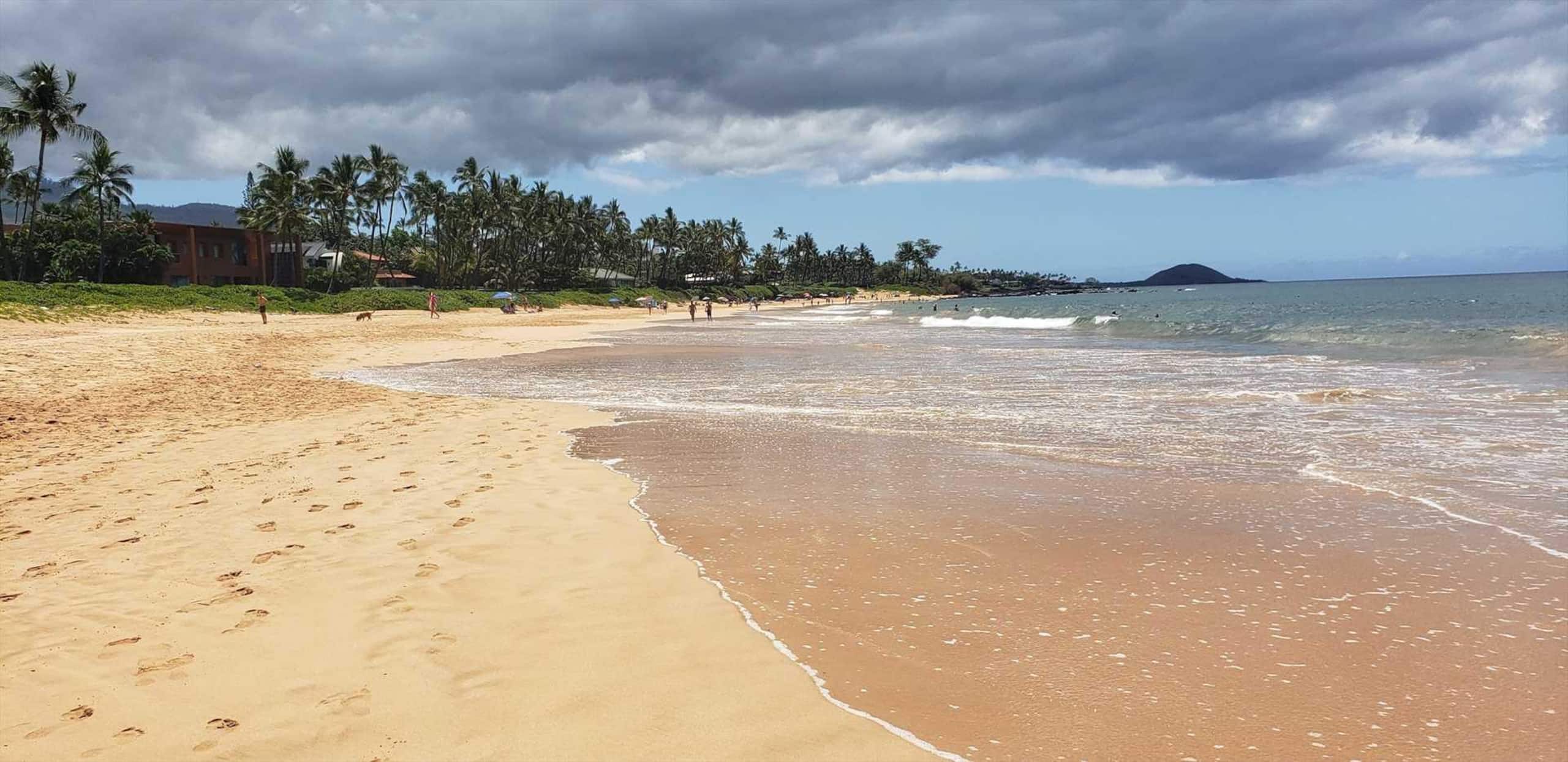 Condo in Kihei · ★4.69 · 1 bedroom · 2 beds · 1 private bath - Image 32