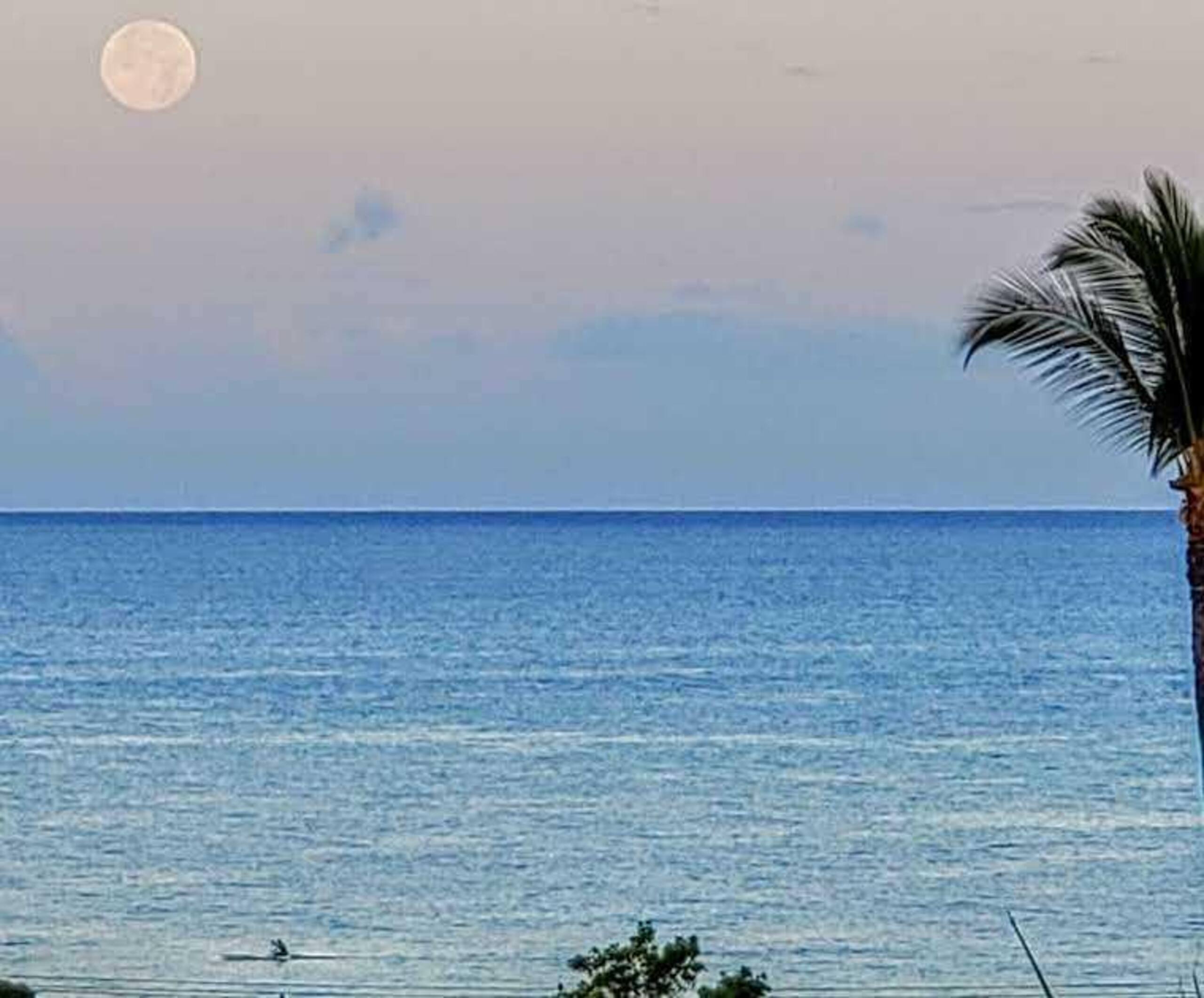 Condo in Kihei · ★4.69 · 1 bedroom · 2 beds · 1 private bath - Image 8