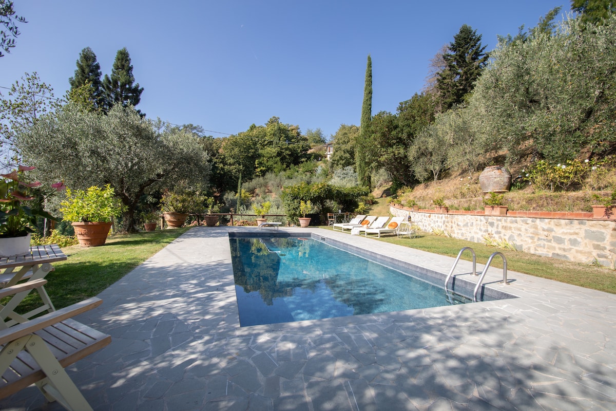 A tranquil swimming pool is surrounded by lush gardens and olive trees. Sun loungers are positioned beside the pool, inviting relaxation. The clear blue sky enhances the serene atmosphere, while stone pathways lead through the vibrant greenery.