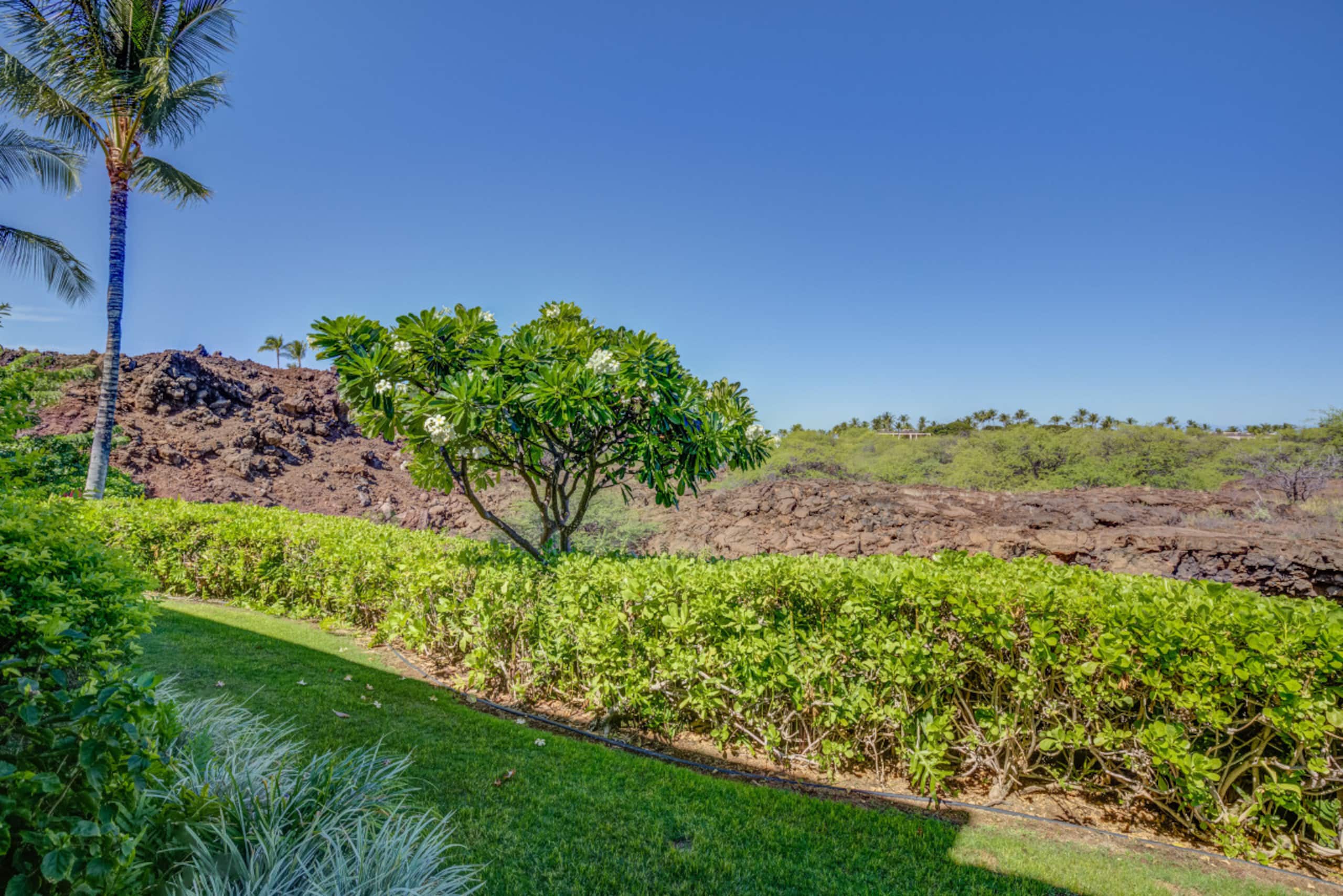 Condo in Puako · ★4.85 · 2 bedrooms · 3 beds · 2 baths - Photo 23