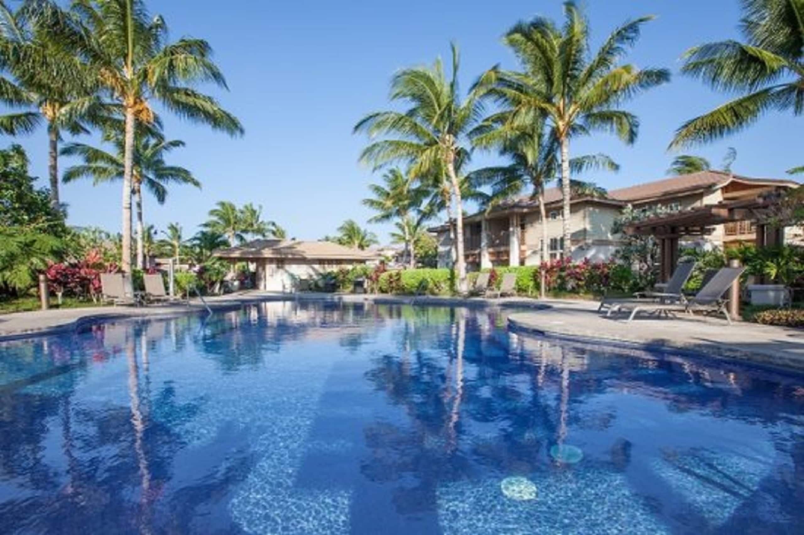 Hilton Pool Pass for 2026. 101 Waikoloa Colony - Photo 36