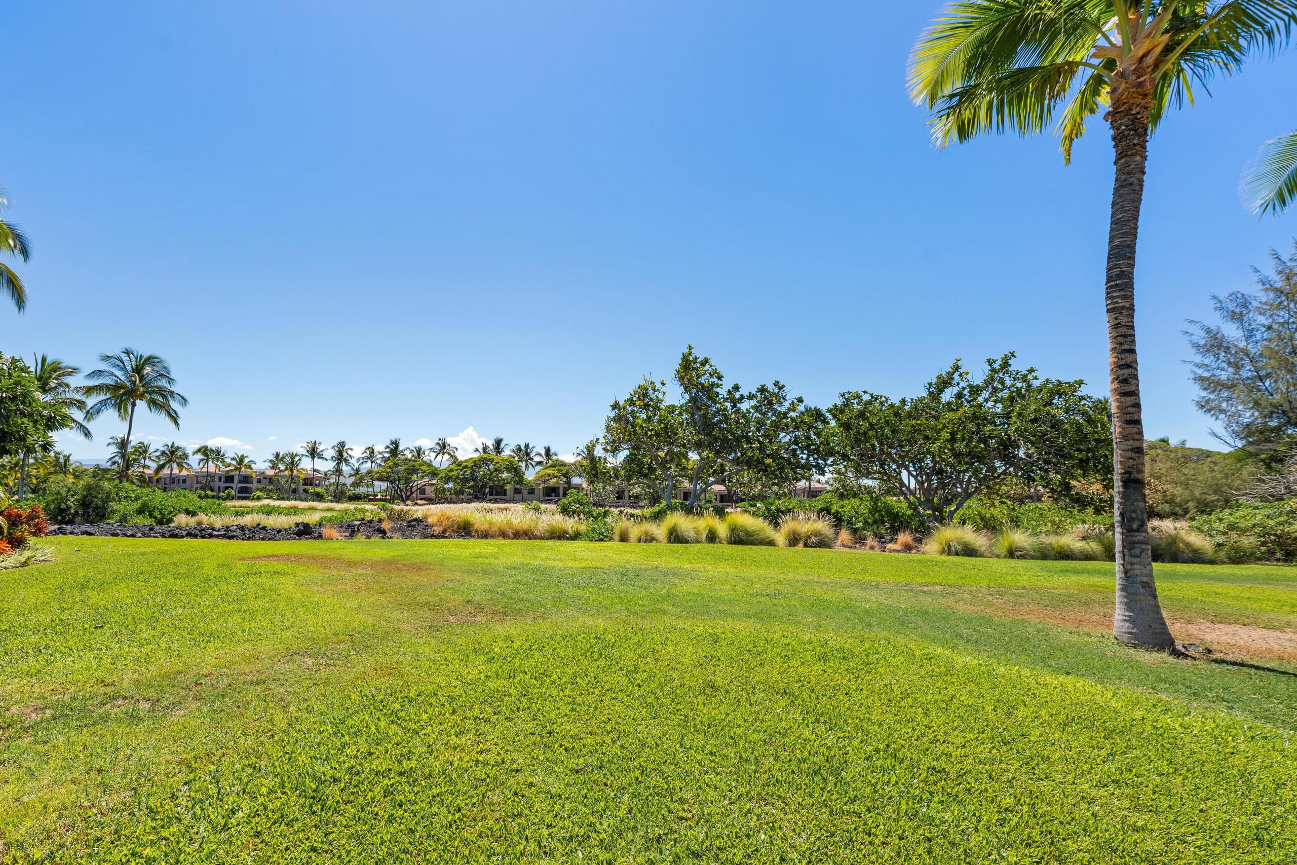 Hilton Pool Pass for 2026. 101 Waikoloa Colony - Photo 46