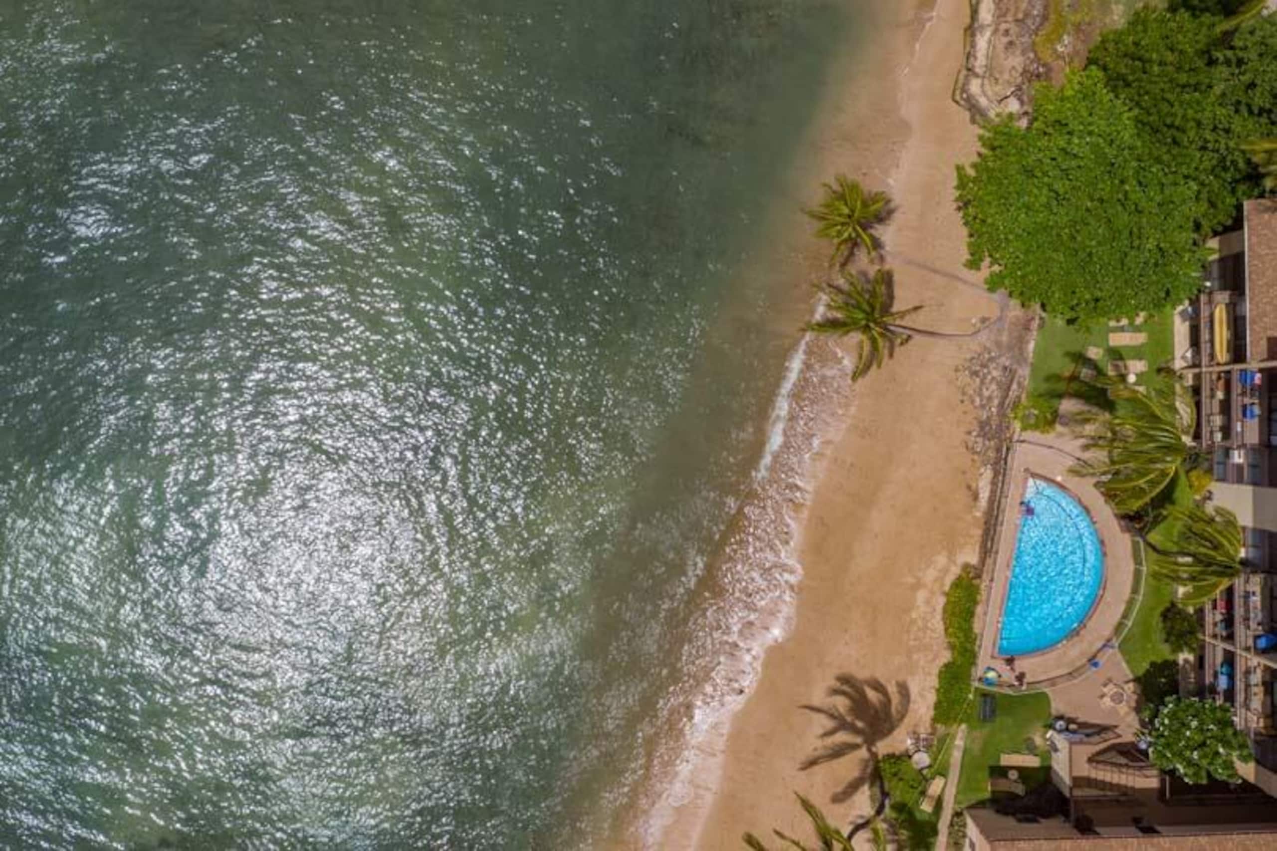 Condo in Wailuku · ★4.75 · 1 bedroom · 2 beds · 1 shared bath - Image 33