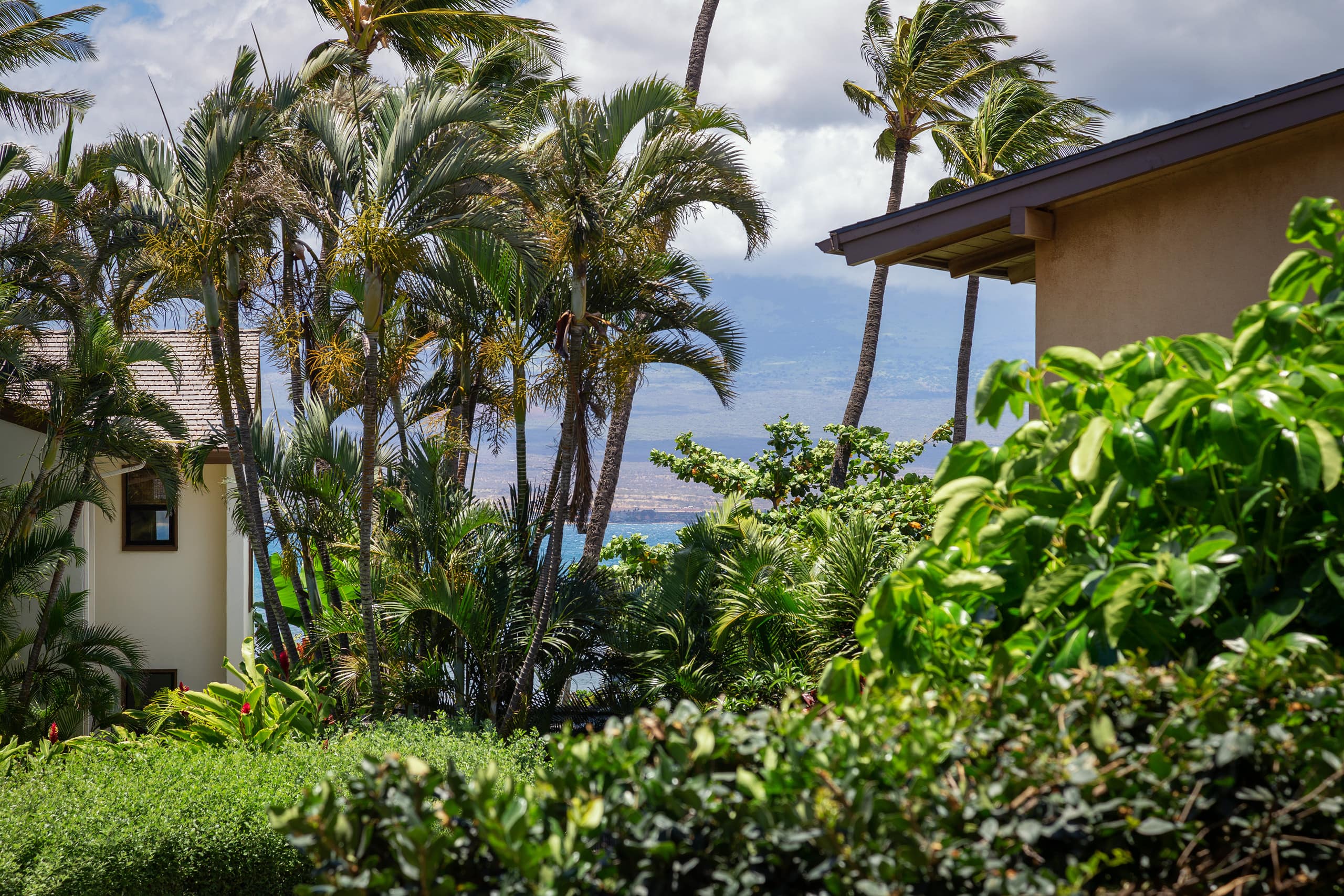 Condo in Wailuku · ★4.75 · 1 bedroom · 2 beds · 1 shared bath - Image 28
