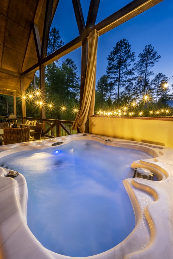 Daydream Chalet photo 4