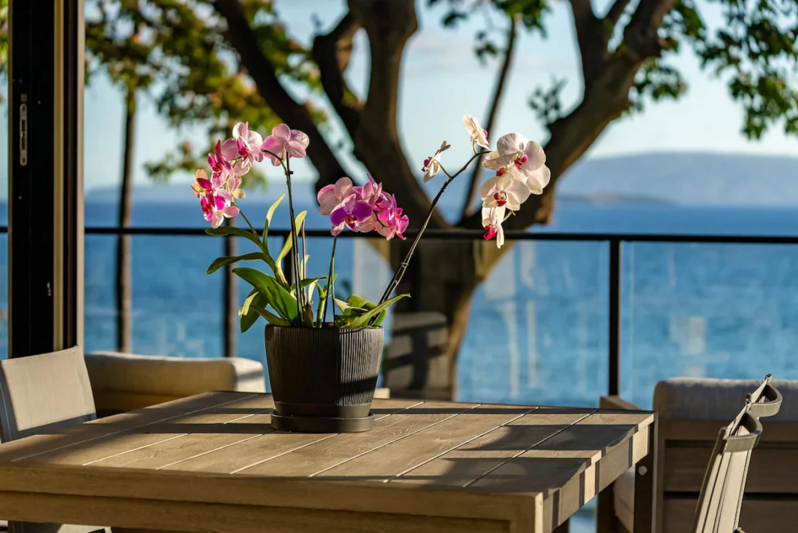 Condo in Wailea · ★5.0 · 2 bedrooms · 2 beds · 2 baths - Image 24