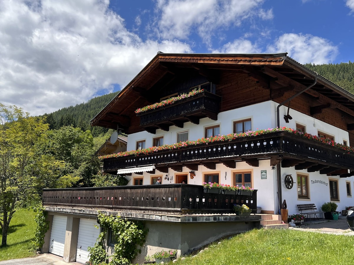 The traditional Alpine house features wooden balconies adorned with flower boxes, surrounded by lush greenery. A spacious terrace extends along the front, providing ample outdoor seating. A well-maintained lawn leads to the entrance, while the striking mountain backdrop enhances the setting.