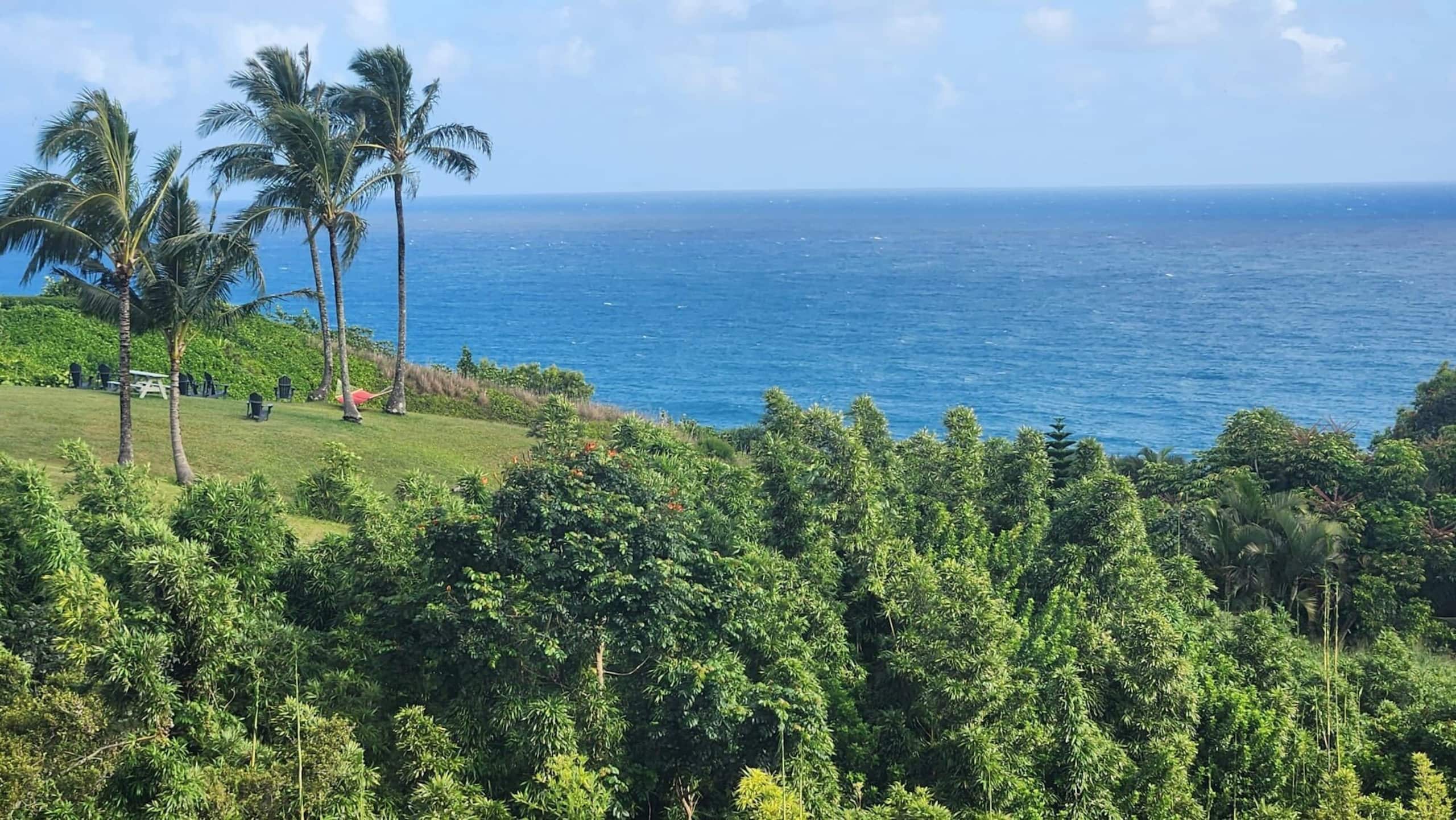 Home in Princeville · ★4.94 · 4 bedrooms · 5 beds · 2.5 baths - Image 6