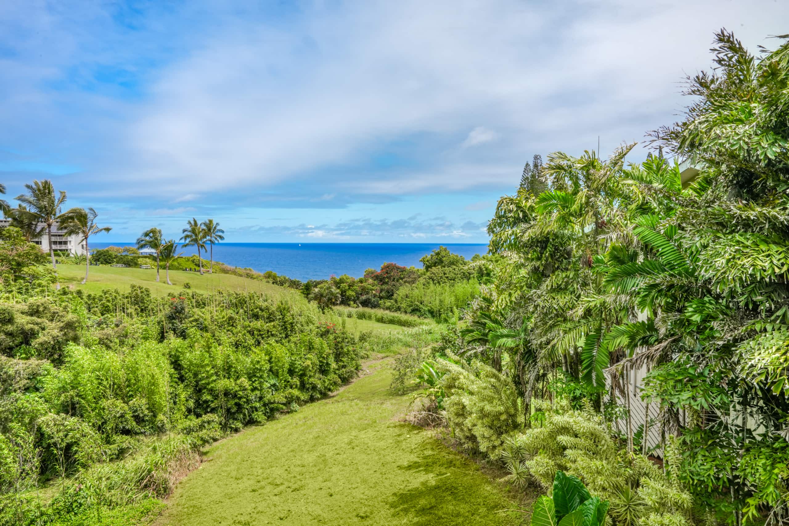 Home in Princeville · ★4.94 · 4 bedrooms · 5 beds · 2.5 baths - Image 39