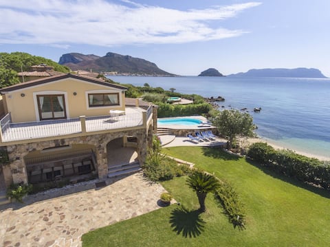 Villa Mimosa - with a pool in front of the sea