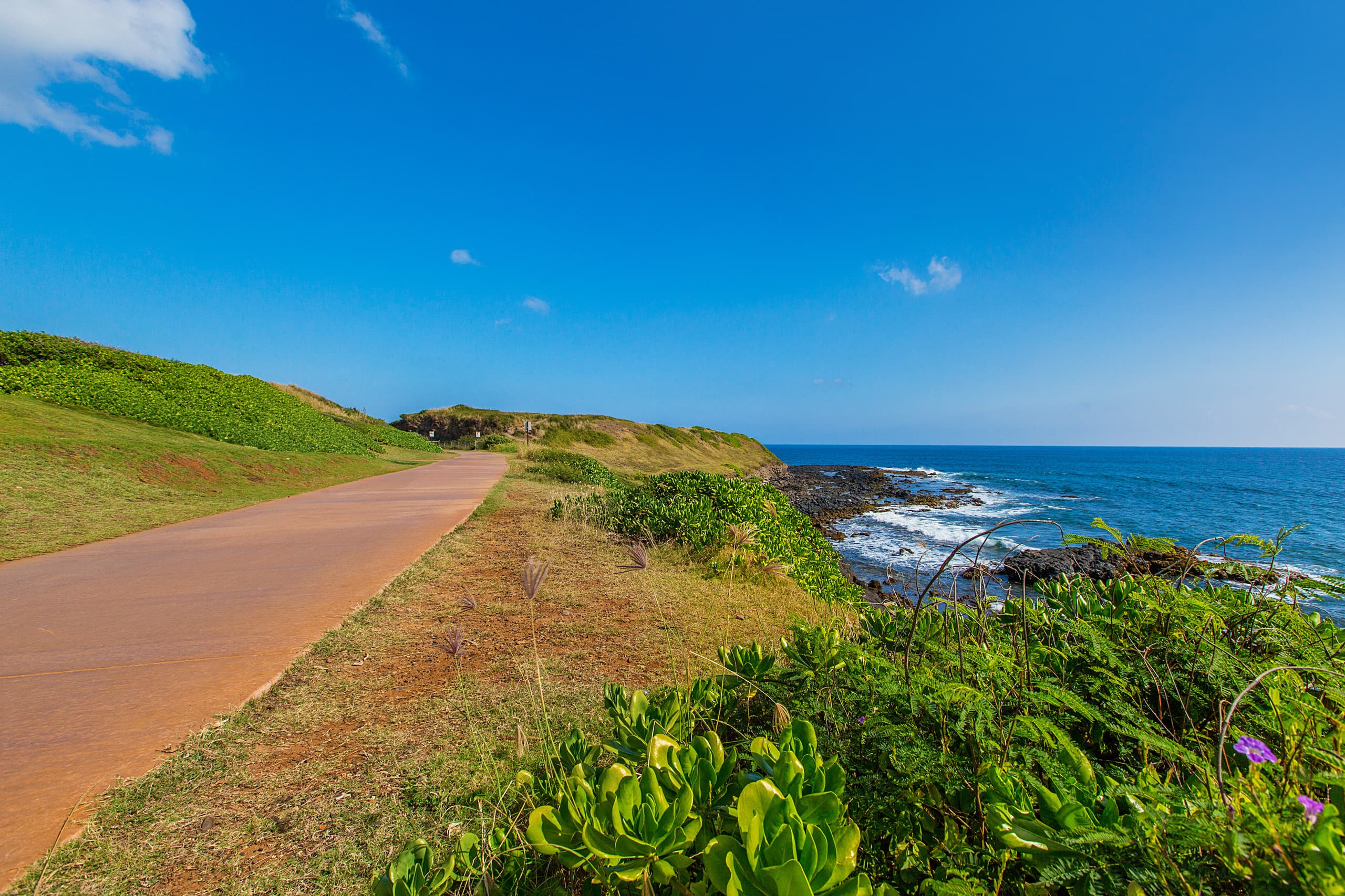 Condo in Kapaa · ★4.88 · 2 bedrooms · 2 beds · 2 baths - Photo 29