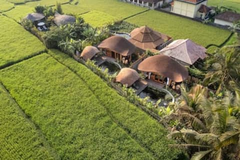 Natural Eco 1BR Bamboo Villa in the rice paddies