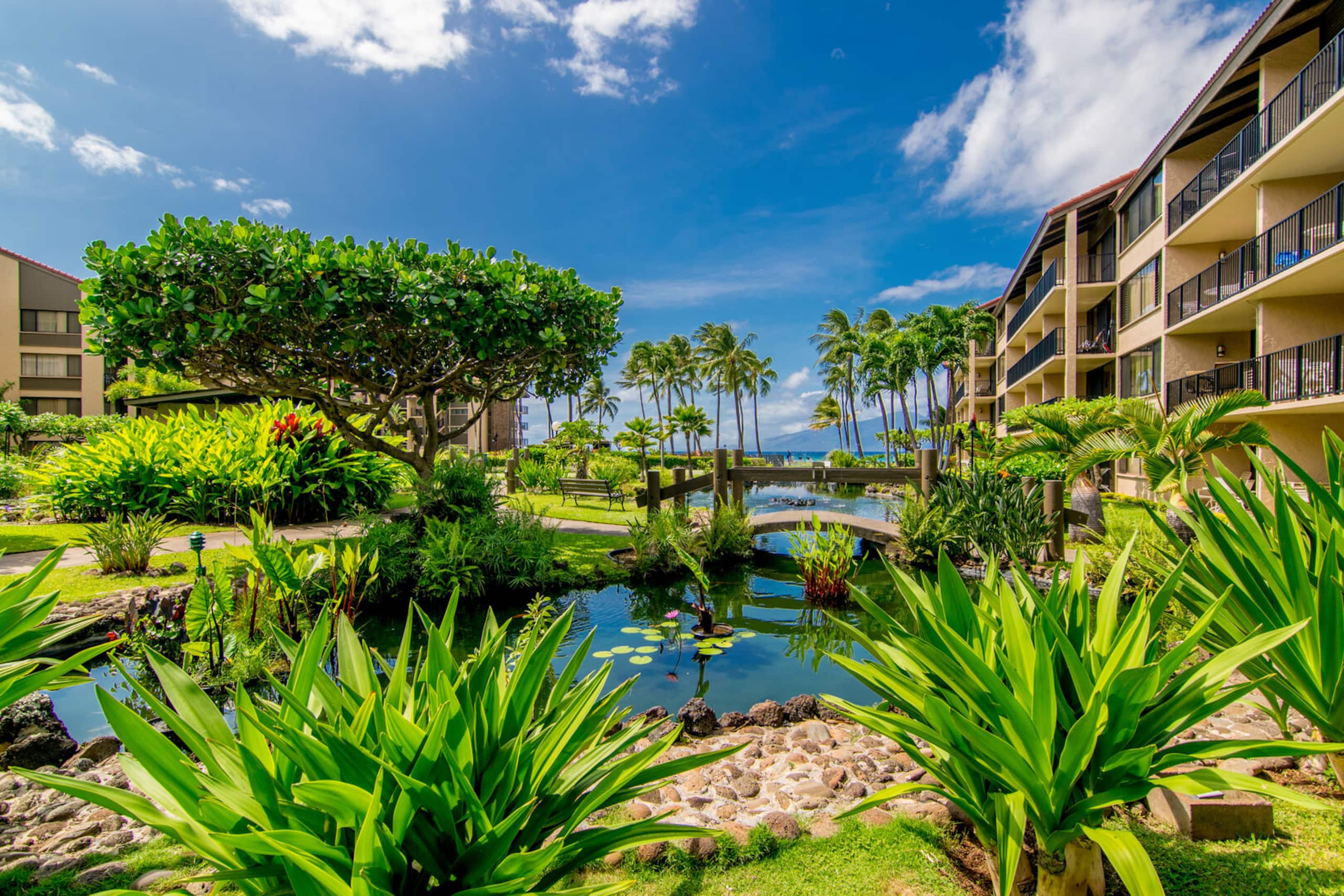 Condo in Lahaina · ★5.0 · 1 bedroom · 2 beds · 1 private bath - Image 21