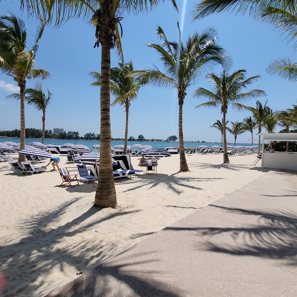 A sandy beach stretches towards the sparkling water, lined with palm trees. Beach chairs with striped cushions are arranged in neat rows under the sun. The background features a tranquil view of the Gulf, enhancing the serene beach atmosphere.