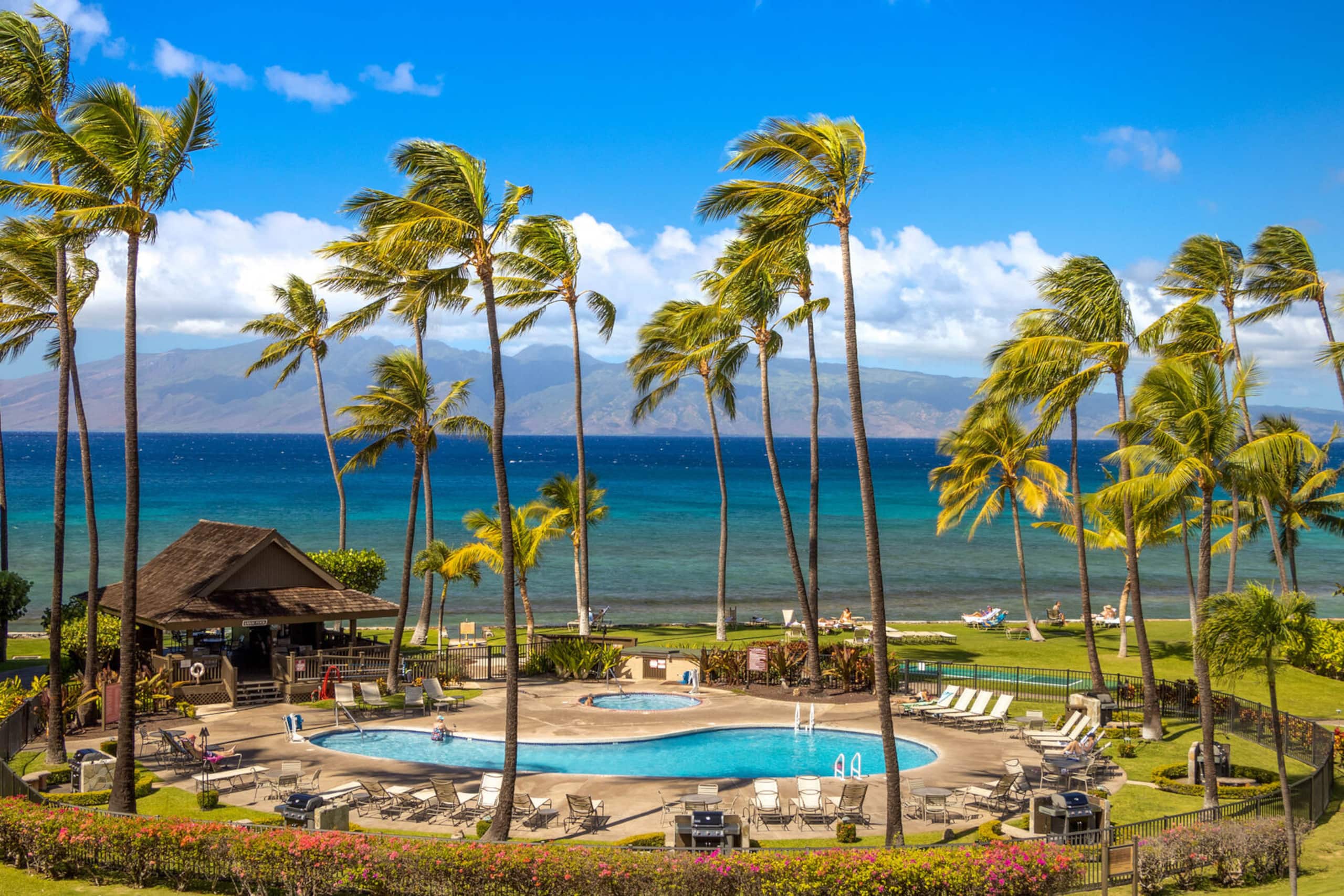 Condo in Lahaina · ★4.56 · 3 bedrooms · 5 beds · 2 baths - Image 3