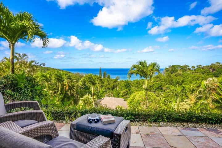 Ocean View Estate w/AC & Pool, Close To Beach gallery image 3