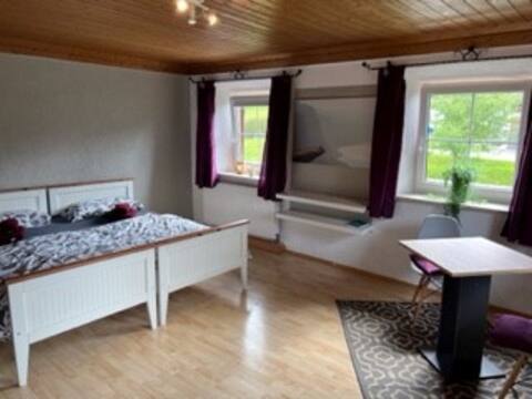 Guest room - double room with box spring bed, TV