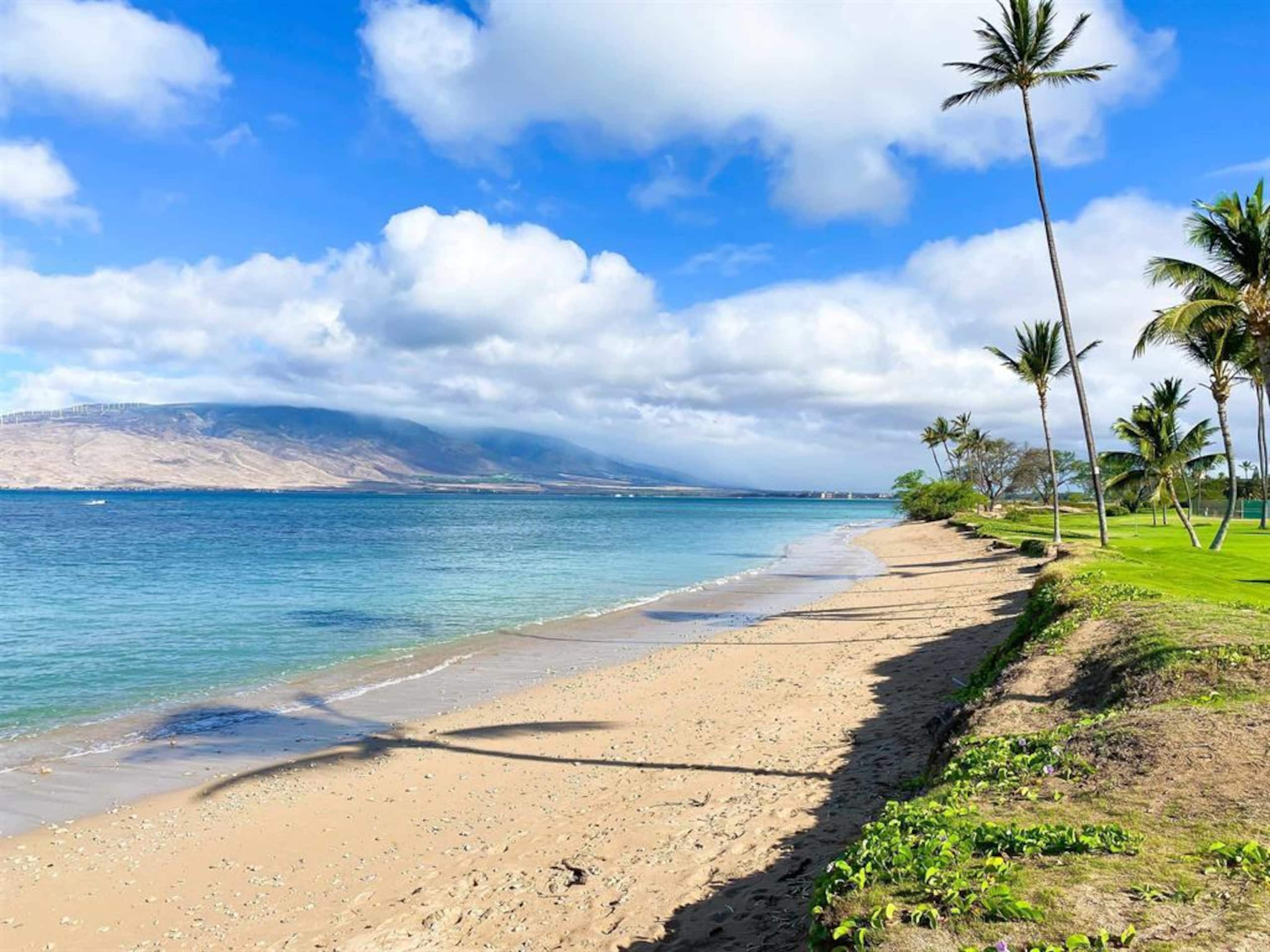 Condo in Kihei · ★5.0 · 1 bedroom · 2 beds · 2 shared baths - Image 4