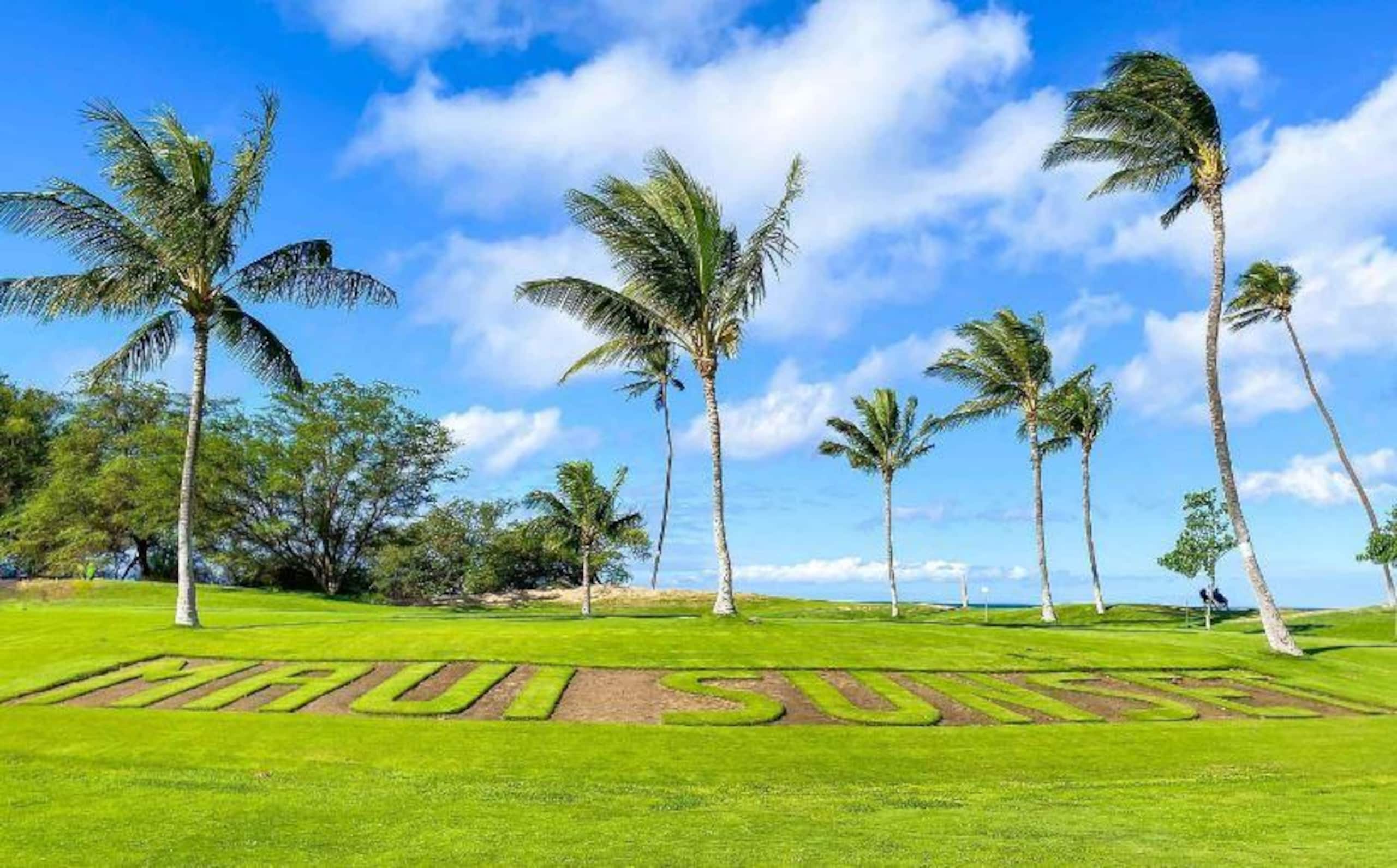 Condo in Kihei · ★5.0 · 1 bedroom · 2 beds · 2 shared baths - Image 1