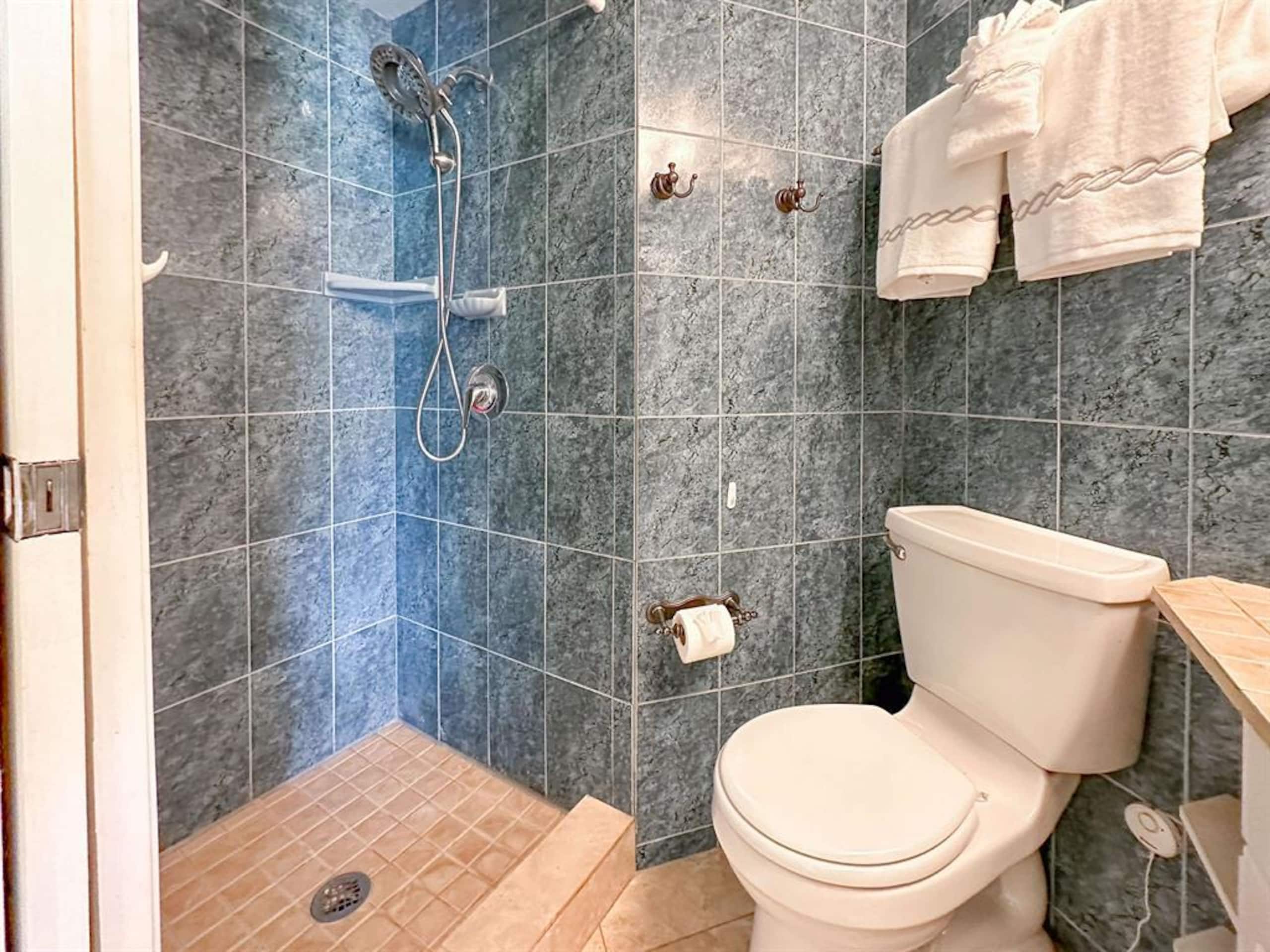 Condo in Kihei · ★5.0 · 1 bedroom · 2 beds · 2 shared baths - Image 25