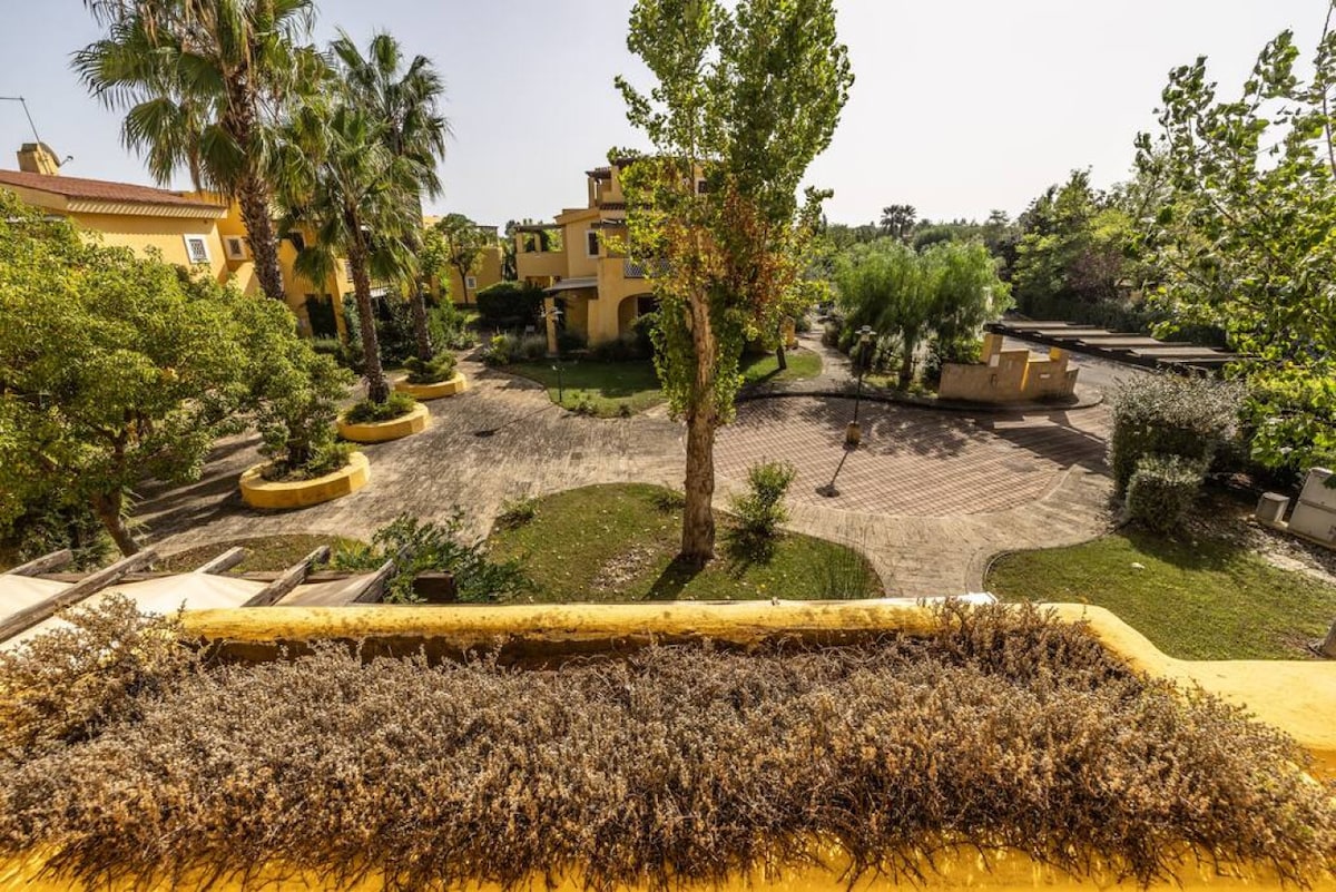 The view from a terrace showcases a landscaped courtyard with palm trees and greenery. Pathways meander through the area, bordered by yellow-barked planters. A clear sky above allows natural light to illuminate the inviting outdoor space and surrounding structures.