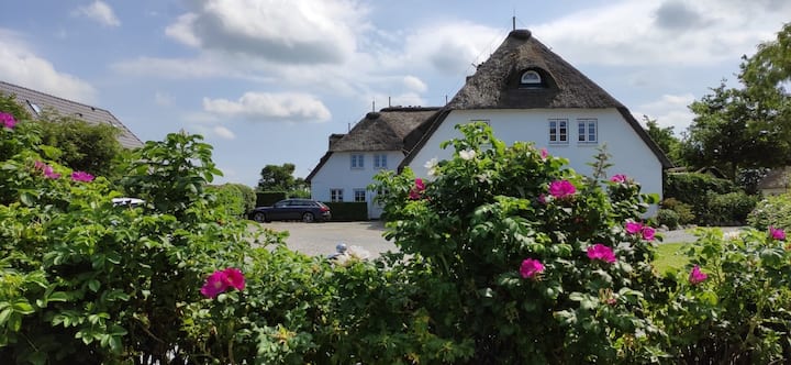 Ferienwohnung/app. Für 3 Gäste Mit 46m² In Dunsum (245764) - Oldsum