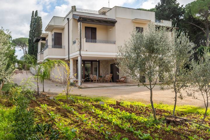 Casa Cenate gallery image 2