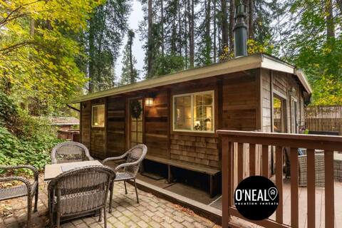 Cozy Home - in the redwoods with hot tub!