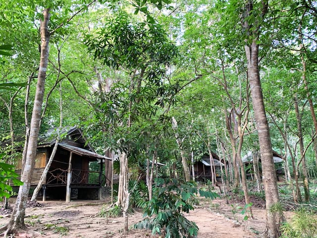 listing_image