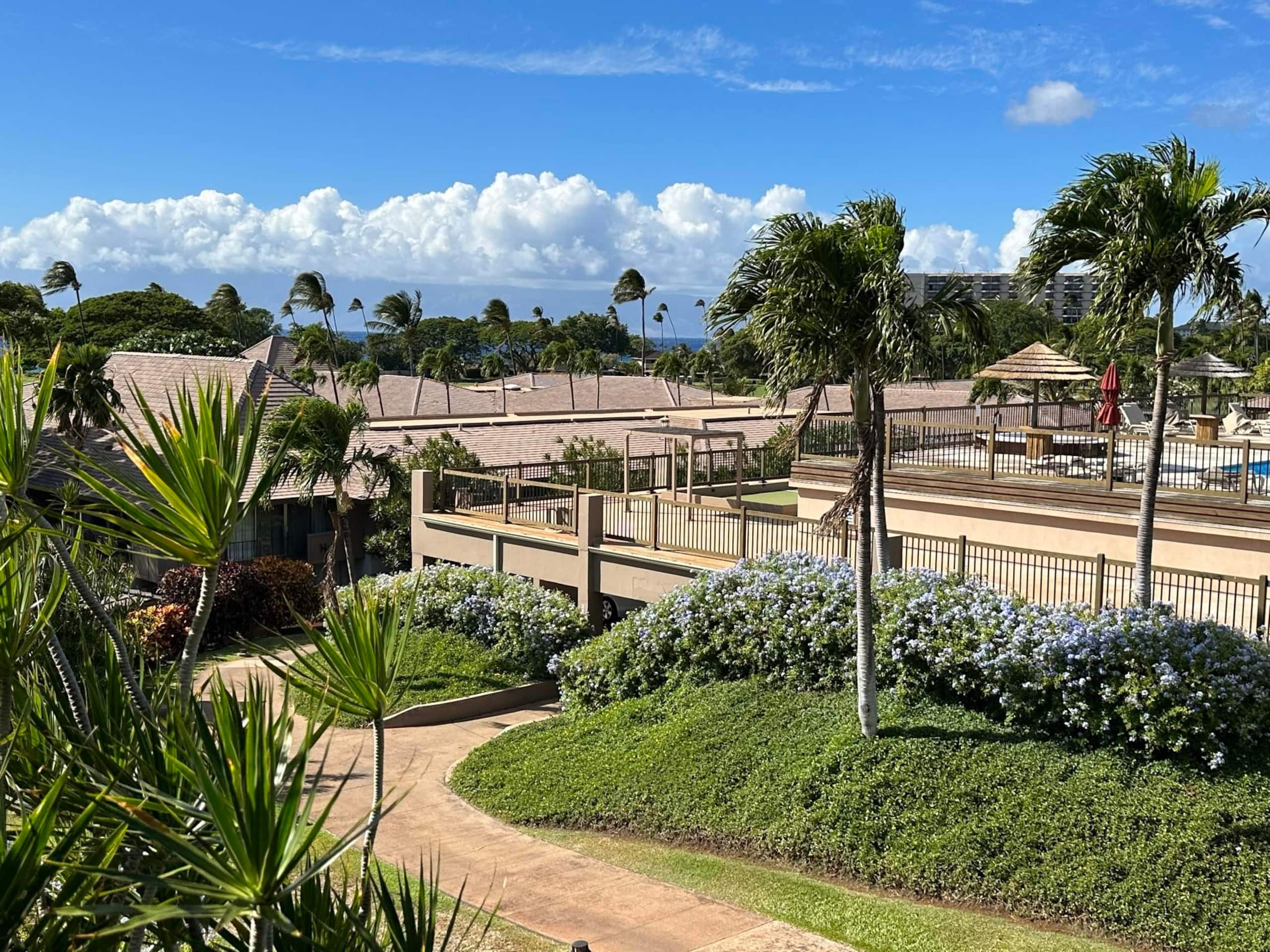 Condo in Lahaina · ★5.0 · Studio · 2 beds · 1 bath - Image 19