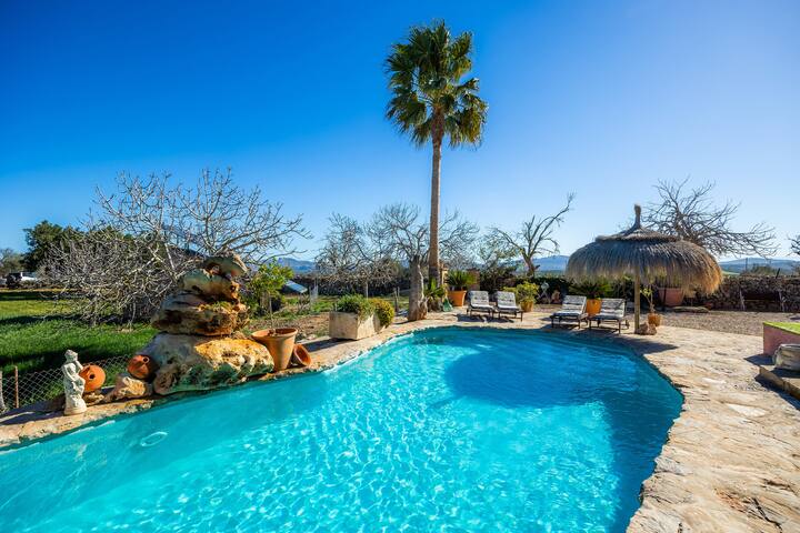 Cas guixer gallery image 2