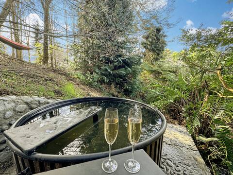 A house with a cinema, hot tub, swimming pool, and natural park
