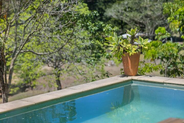 Unique Forget-me-not cottage – breathtaking views gallery image 4