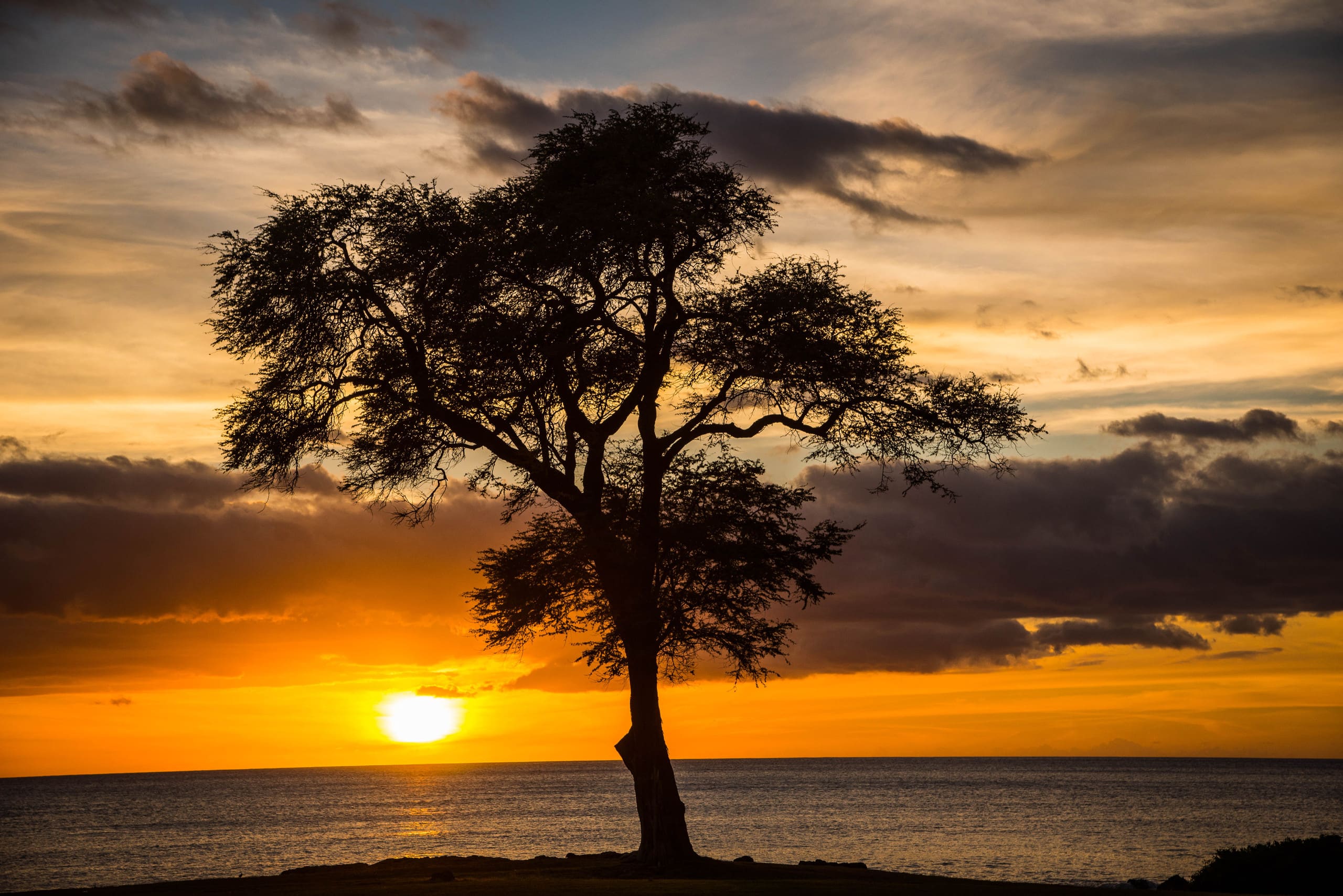 Condo in Kapolei · ★5.0 · 2 bedrooms · 3 beds · 2 shared baths - Image 30