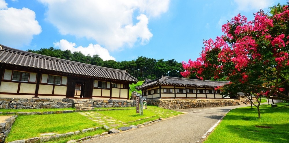The scene captures a traditional Korean hanok surrounded by lush greenery and vibrant flowering trees. A well-maintained pathway leads toward the buildings, highlighting the unique architectural features of the structure against a clear blue sky.