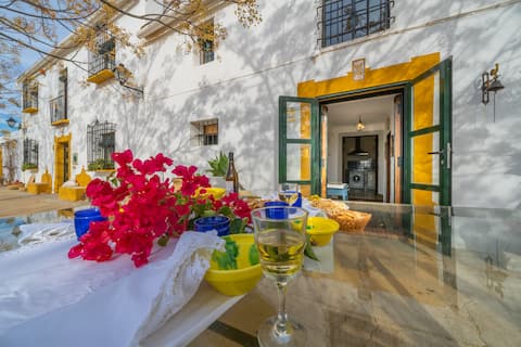 Charming Andalusian-style country house in Antequera