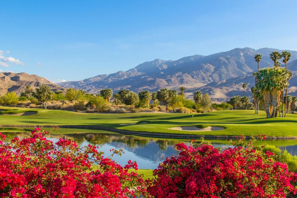 A vibrant landscape showcases lush green golf courses framed by blooming pink bougainvillea. Majestic mountains rise in the background under a clear blue sky, complemented by tall palm trees lining the edges. A serene pond reflects the surrounding natural beauty.