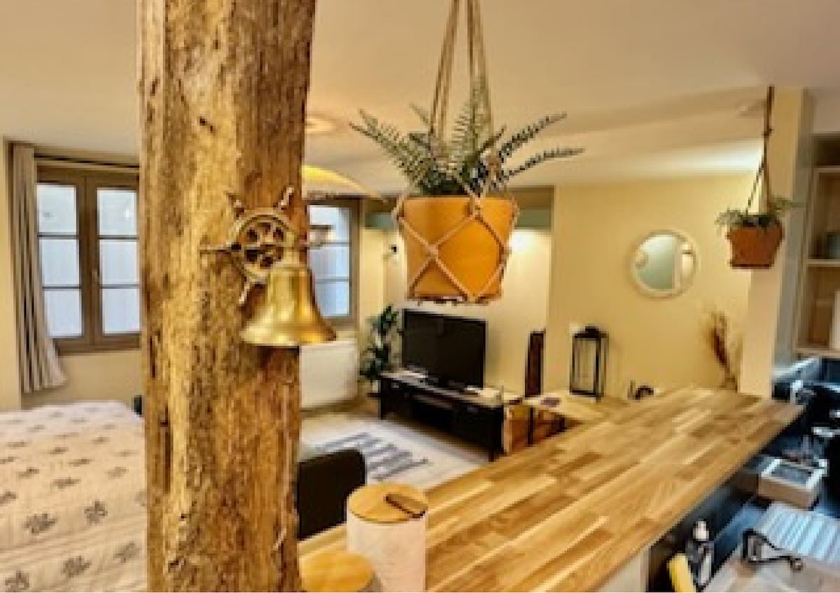 A cozy studio space is highlighted with natural wood accents and plants in hanging pots. A wooden bar counter separates the living area from the kitchen, while a television is positioned nearby. Large windows provide ample light, enhancing the warm atmosphere of the space.