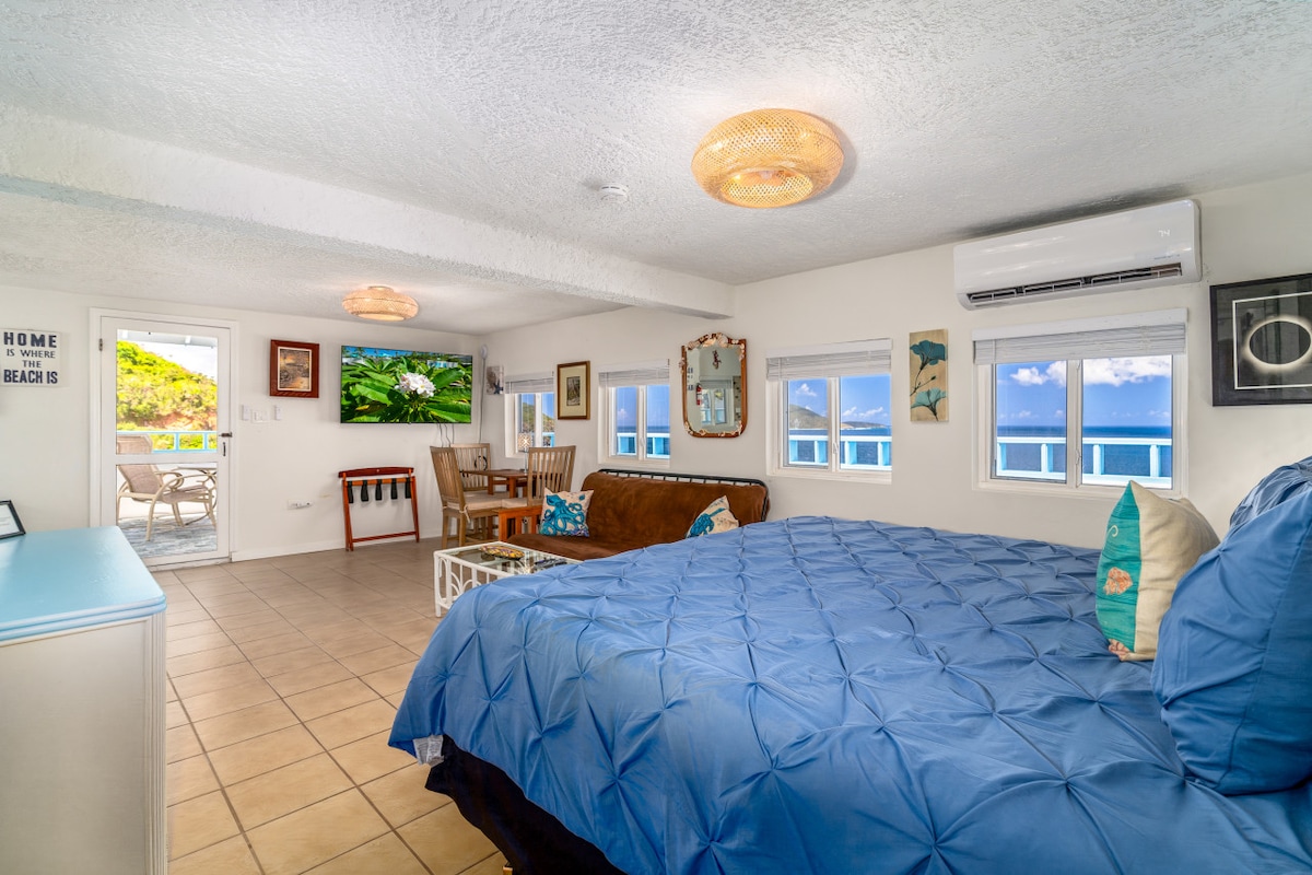 Ზღვის ცხენის კონდომინიუმი!