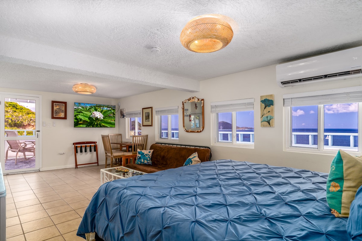 Ზღვის ცხენის კონდომინიუმი!