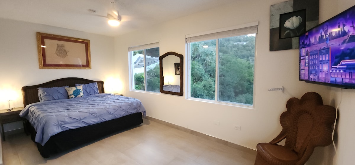 Ქალთევზას კონდომინიუმი!