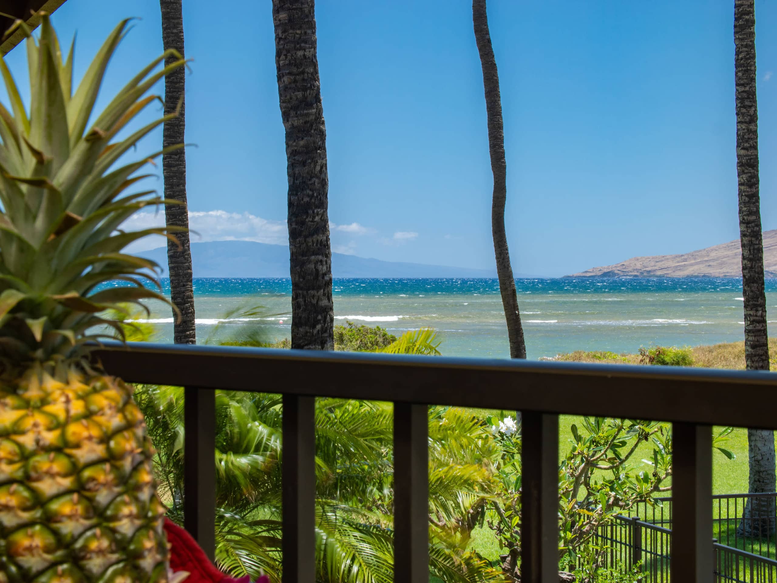 Condo in Kihei · ★4.93 · 1 bedroom · 2 beds · 1 bath - Image 20